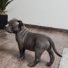 Zita